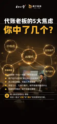 跃迁型增长橙子财税版本1-4海报
